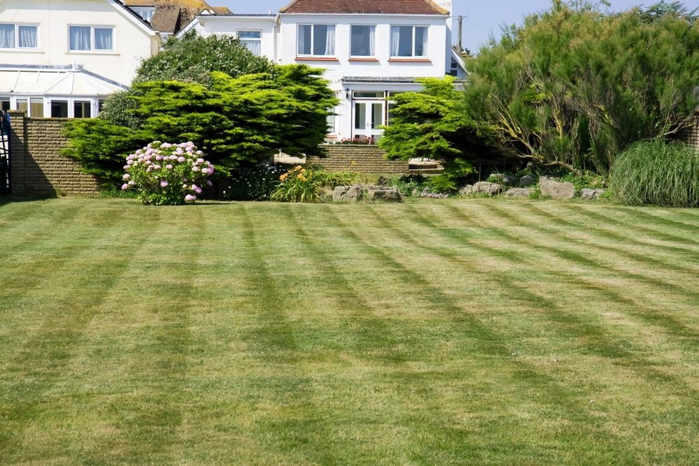 Freshly mowed striped lawn in front of a home